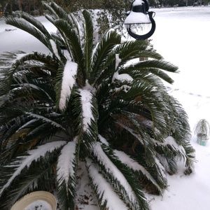 Meet your Posher, Burnette